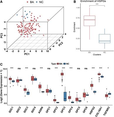 Bioinformatics analysis identifies heparan sulfate proteoglycans acting as different progress subtypes of biliary atresia